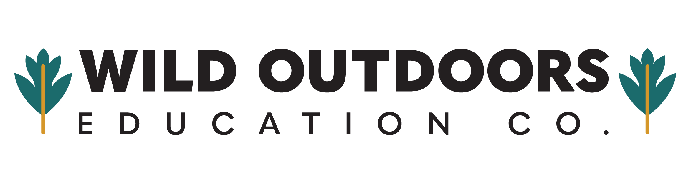 The Wild Outdoors logo